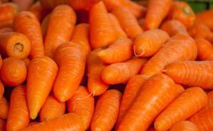 Fresh Carrot