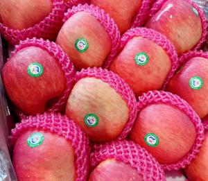Red Fuji Apple