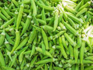 Okra