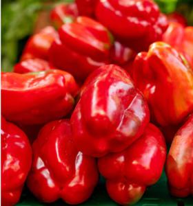 Red Belle Pepper