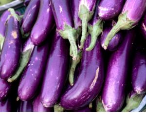 Eggplant